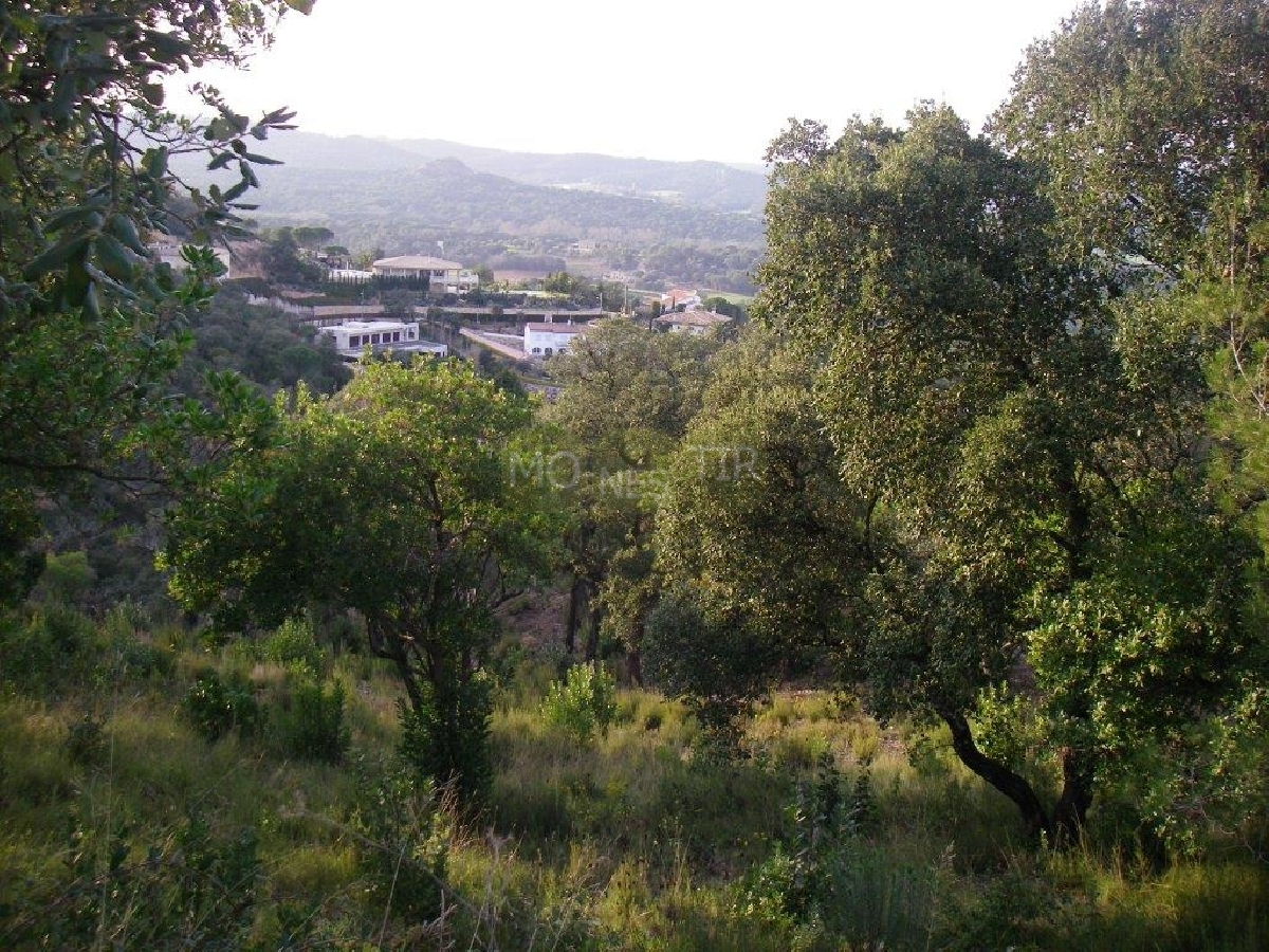 Santa Cristina d'Aro / Urbanització Golf Costa Brava