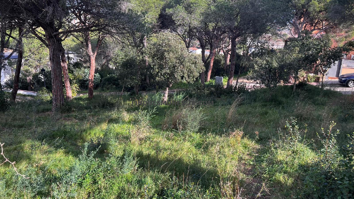 Sant Feliu de Guixols / Urbanitzacions